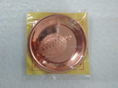 Tortoise Turtle with Plate / Copper Coated